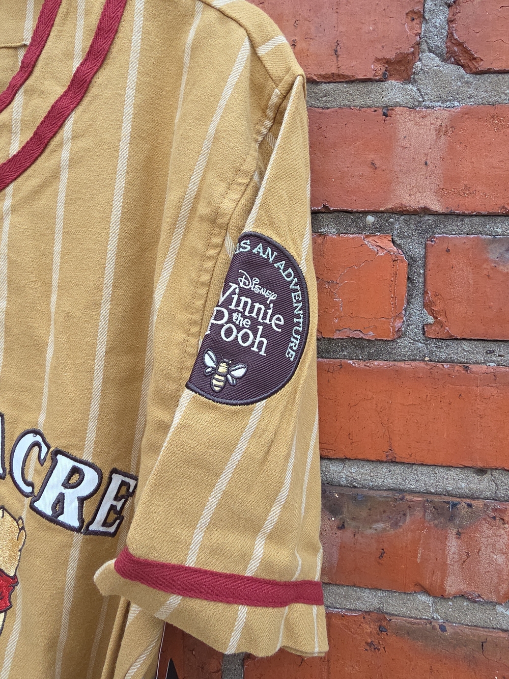 Disney Winnie The Pooh Hundred Acre Wood Baseball Jersey Unisex M NWT (A) - Picture 4 of 5